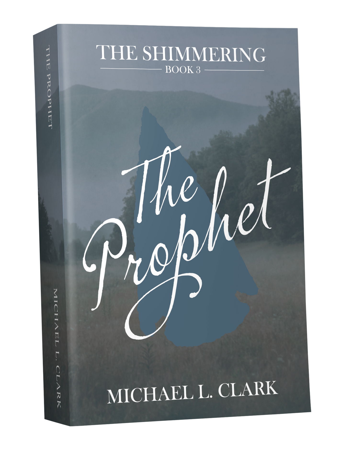 The Prophet - Book 3 of The Shimmering Ebook